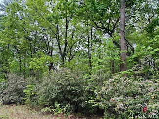 0 Snowdrift Place Unit 1025485, Cleveland, GA 30528