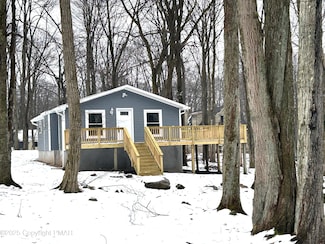 124 Tommys Ln, Pocono Lake, PA 18347