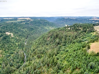 0 Silver Creek Canyon Unit 21249439, Silverton, OR 97381