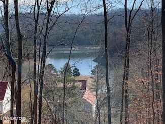 0 Mountain Shores Rd, New Tazewell, TN 37825