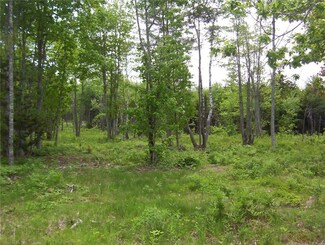 13 Wabanaki Trail, Bristol, ME 04539