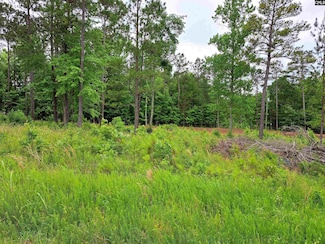 Lot #1 Longleaf Ct, Ridgeway, SC 29130