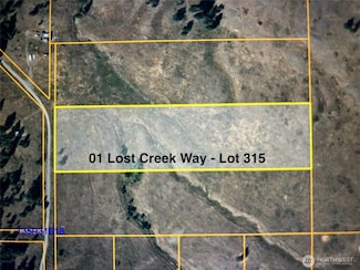 0 Lot 315 Lost Creek Way, Tonasket, WA 98855