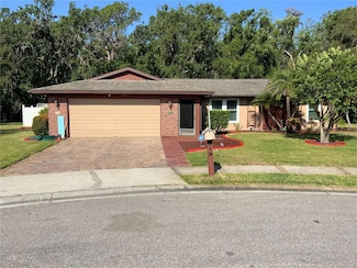 819 Satinleaf Ave, Oldsmar, FL 34677