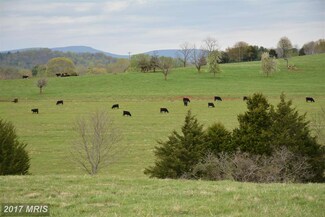 0 Blankenbaker Rd Unit 1000402033, Madison, VA 22727