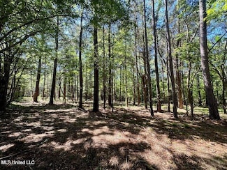 0 Robinson Rd Unit 11486583, Canton, MS 39046