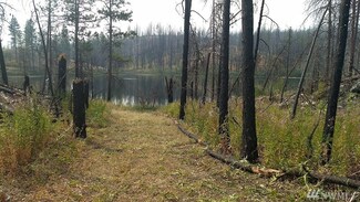 0 Emerald Lake Rd Unit 1183244, Okanogan, WA 98840
