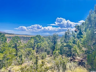 9 N Cedar Ln Unit 120, Duchesne, UT 84021