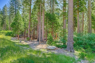 11 Timber Trail Ct, Dorrington, CA 95223