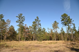 0 Farm To Market Road 2497, Lufkin, TX 75904