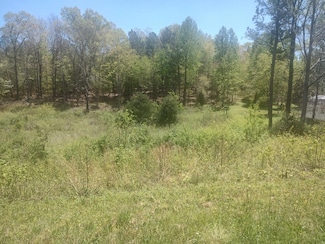 00 Michaels Ln, Chatsworth, GA 30705