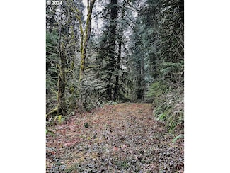 0 Wildlife Rd Unit 24581069, Washougal, WA 98671