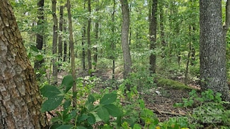 1450 Pork Rd, Peachland, NC 28133