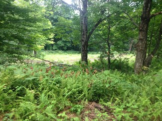 Lot 3 Toad Rd, Windham, VT 05359