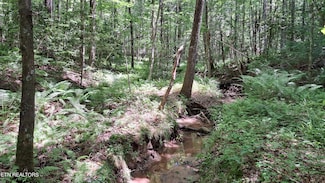 0 Airport Rd - Lot 27 (Pca), Rockwood, TN 37854