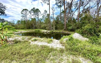 278 SW Twain Rd, Mayo, FL 32066