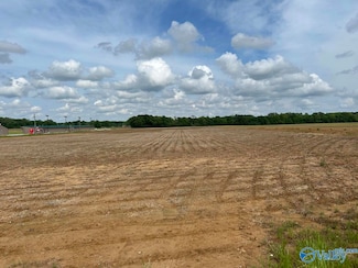 12 Acres Hwy 43, Florence, AL 35634