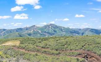 9406 N Reservoir View Ct, Kamas, UT 84036