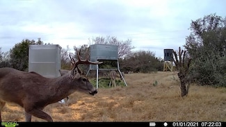 0 Ranch To Market 334, Brackettville, TX 78832