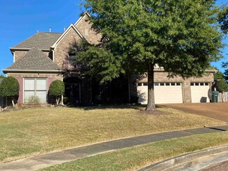 10524 Denali Park Cove, Collierville, TN 38017