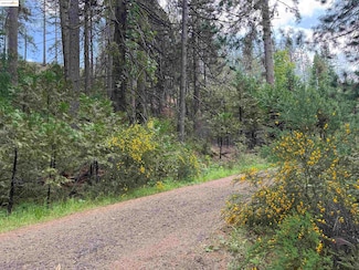 0000 Cedar Pines Ave, Twain Harte, CA 95383