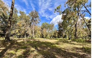 TBD SW Boston Terrace, Fort White, FL 32038