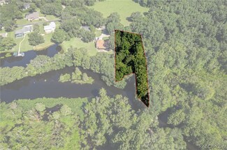 9222 E Hampton Point Rd, Inverness, FL 34450