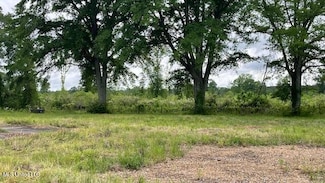 2742 King Rd, Forest, MS 39074