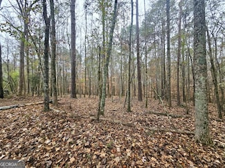 0 Dowdy Rd Unit 10428532, Roopville, GA 30170