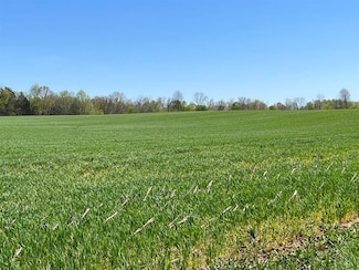154 Acres Halfway Halifax Rd, Scottsville, KY 42164