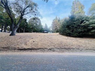 0 Mojave River Rd Unit IG24228222, Cedarpines Park, CA 92322