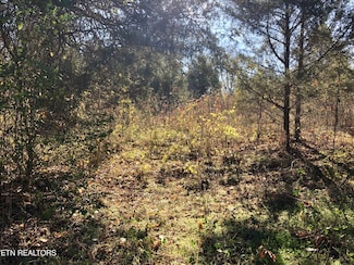 0 Thorn Grove Pike Unit RTC2865121, Strawberry Plains, TN 37871