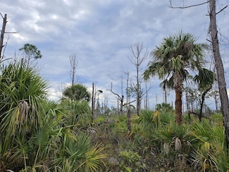 8228 Leafy Way, Port Charlotte, FL 33981