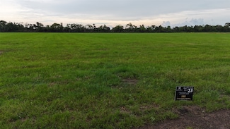 LOT 33 Rymal Ranch Rd, Algoa, TX 77511