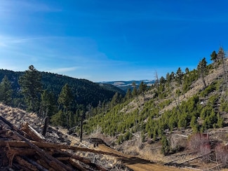 0 Tbd High Ore Rd Unit LotWP003, Boulder, MT 59632