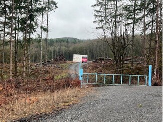 0 Nick Thomas Rd Unit 24021265, Goble, OR 97048