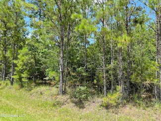 0 Riverwalk Dr, Vancleave, MS 39565