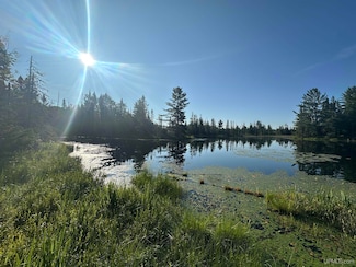 Off Indian Lake Rd, Michigamme, MI 49861