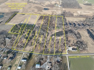 46.03 Ac Kaskaskia Rd, Waterloo, IL 62298