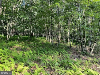 2.28 AC Thorn Bottom Rd, Lost City, WV 26810