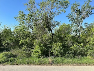 TBD Lot A Spring Rd, Ranger, TX 76470