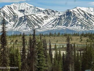 L35 Wonderstruck Ave, Cantwell, AK 99729