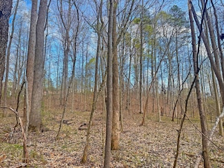 925 Hillview Dr, Iron Station, NC 28080