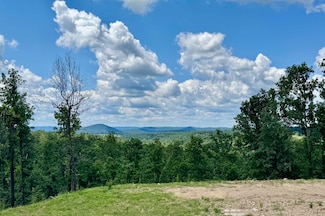 8373 Hwy 5 S, Salesville, AR 72653