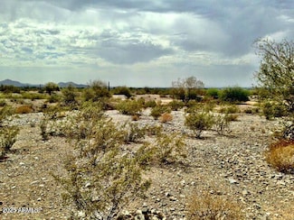 11222 S Wilson Ln Unit 38, Goodyear, AZ 85338