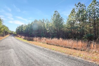 9 Ribbon Branch Rd, Dover, TN 37058