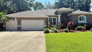 1138 Lumsden Trace Cir, Valrico, FL 33594