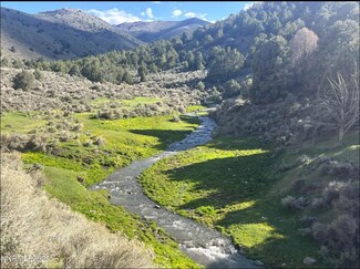 0 Mill Creek Rd Unit 24169133, Battle Mountain, NV 89820