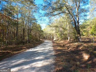 0 Dusty Rd Unit 10569563, Bowman, GA 30624