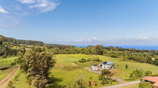 29-2584 Kaiwiki-Homestead Rd, Hakalau, HI 96710